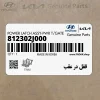 قفل در عقب (812302J000) کیا