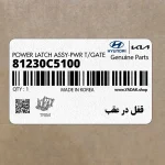 قفل در عقب (81230C5100) کیا