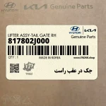 جك در عقب راست (817802J000) کیا