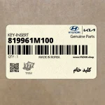 كليد خام (819961M100) کیا