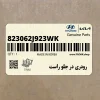 رودري در جلو راست (823062J923WK) کیا