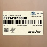 درپوش رودري (823141F100UB) کیا