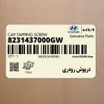 درپوش رودري (8231437000GW) کیا