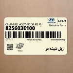 ريل شيشه در (825603E100) کیا