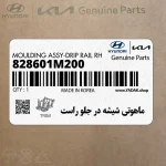 ماهوتي شيشه در جلو راست (828601M200) کیا