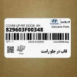 قاب در جلو راست (829603F00348) کیا