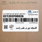 لاستيك دور در عقب راست (831203F00026) کیا