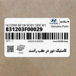 لاستيك دور در عقب راست (831203F00029) کیا