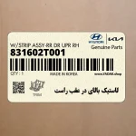 لاستيك بالاي در عقب راست (831602T001) کیا