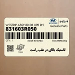 لاستيك بالاي در عقب راست (831603R050) کیا
