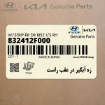 زه آبگير در عقب راست (832412F000) کیا