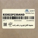 مجموعه كامل تودري در عقب راست (833022P230AND) کیا