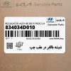 شيشه بالابر در عقب چپ (834034D010) کیا