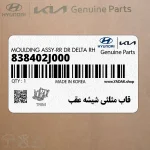 قاب مثلثي شيشه عقب (838402J000) کیا