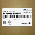 قاب دور ضبط (847603E6009W) کیا