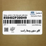 كاور ستون وسط راست (858402P300H9) کیا
