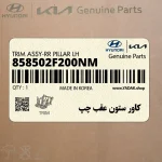 كاور ستون عقب چپ (858502F200NM) کیا