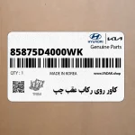 كاور روي ركاب عقب چپ (85875D4000WK) کیا