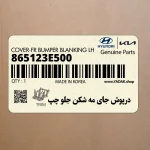 درپوش جاي مه شكن جلو چپ (865123E500) کیا