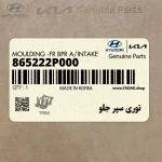 توري سپر جلو (865222P000) کیا