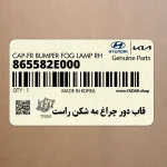 قاب دور چراغ مه شكن راست (865582E000) کیا