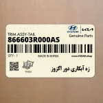 زه آبكاري دور اگزوز (866603R000AS) کیا