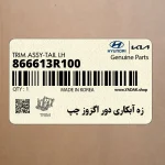 زه آبكاري دور اگزوز چپ (866613R100) کیا