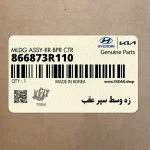 زه وسط سپر عقب (866873R110) کیا