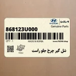 شل گير چرخ جلو راست (868123U000) کیا