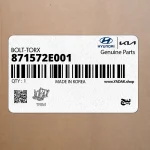 پيچ (871572E001) کیا