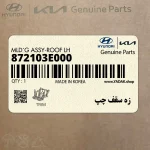 زه سقف چپ (872103E000) کیا