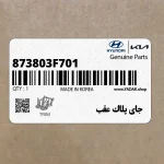 جاي پلاك عقب (873803F701) کیا