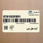 آينه بغل چپ (876103F891) کیا