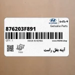 آينه بغل راست (876203F891) کیا