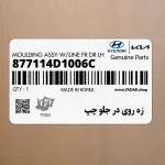 زه روي در جلو چپ (877114D1006C) کیا
