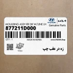 زه در عقب چپ (877211D000) کیا