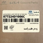زه در عقب راست (877224D1006C) کیا