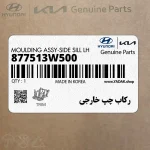 ركاب چپ خارجي (877513W500) کیا