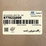 ركاب بيروني راست (877822J000) کیا