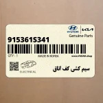 سيم كشي كف اتاق (915361S341) کیا