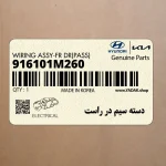 دسته سيم در راست (916101M260) کیا