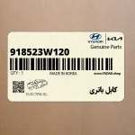 كابل باتري (918523W120) کیا