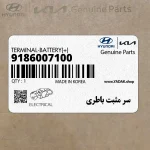 سر مثبت باطري (9186007100) کیا