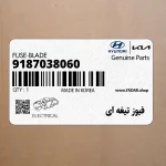 فيوز تيغه اي (9187038060) کیا