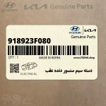 دسته سيم سنسور دنده عقب (918923F080) کیا