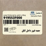 جعبه فيوز داخل اتاق (919553F000) کیا