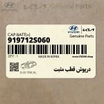 درپوش قطب مثبت (919712S060) کیا