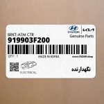 نگهدارنده (919903F200) کیا