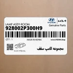 مجموعه لامپ سقف (928002P300H9) کیا