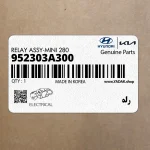 رله (952303A300) کیا